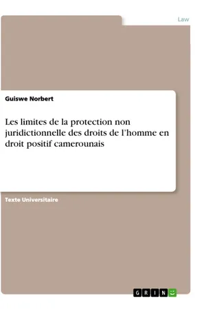 Les limites de la protection non juridictionnelle des droits de l'homme en droit positif camerounais