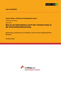 Was ist ein Unternehmen wert? Der Terminal Value in der Unternehmensbewertung_cover