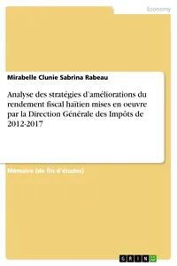 Analyse des stratégies d'améliorations du rendement fiscal haïtien mises en oeuvre par la Direction Générale des Impôts de 2012-2017