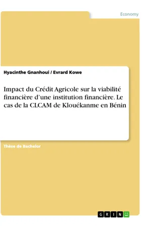 Impact du Crédit Agricole sur la viabilité financière d'une institution financière. Le cas de la CLCAM de Klouékanme en Bénin