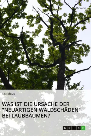 Was ist die Ursache der "Neuartigen Waldschäden" bei Laubbäumen?