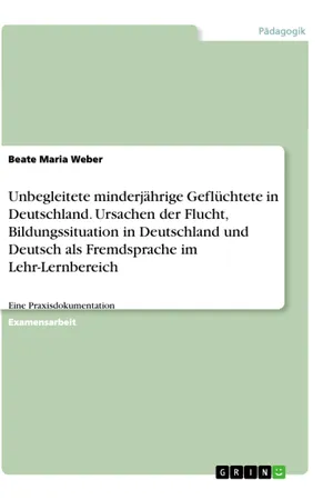 Unbegleitete minderjährige Geflüchtete in Deutschland. Ursachen der Flucht, Bildungssituation in Deutschland und Deutsch als Fremdsprache im Lehr-Lernbereich