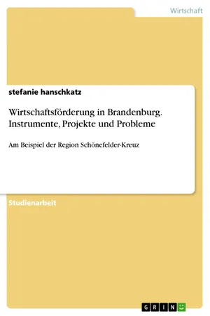 Wirtschaftsförderung in Brandenburg. Instrumente, Projekte und Probleme