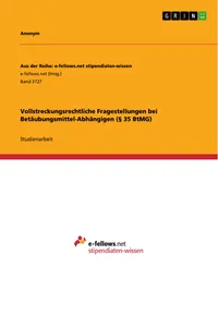 Vollstreckungsrechtliche Fragestellungen bei Betäubungsmittel-Abhängigen_cover