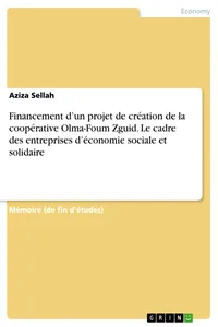 Financement d’un projet de création de la coopérative Olma-Foum Zguid. Le cadre des entreprises d’économie sociale et solidaire