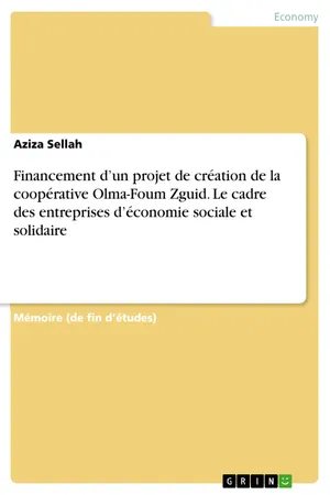Financement d’un projet de création de la coopérative Olma-Foum Zguid. Le cadre des entreprises d’économie sociale et solidaire
