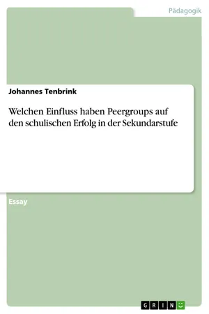 Welchen Einfluss haben Peergroups auf den schulischen Erfolg in der Sekundarstufe