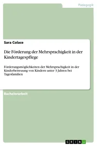 Die Förderung der Mehrsprachigkeit in der Kindertagespflege_cover