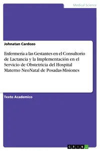 Enfermería a las Gestantes en el Consultorio de Lactancia y la Implementación en el Servicio de Obstetricia del Hospital Materno NeoNatal de Posadas-Misiones_cover