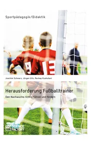 Herausforderung Fußballtrainer. Den Nachwuchs richtig führen und fördern_cover