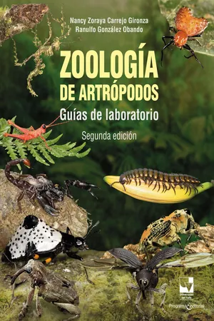 Zoología de artrópodos