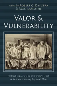Valor and Vulnerability_cover