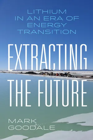 Extracting the Future