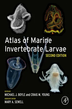 Atlas of Marine Invertebrate Larvae