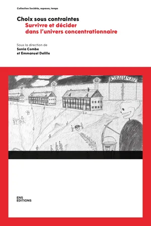 Choix sous contraintes