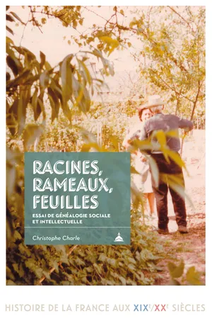 Racines, rameaux, feuilles