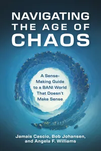 Navigating the Age of Chaos_cover