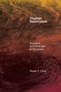 Disaster Nationalism_cover