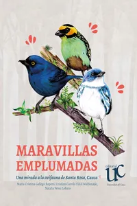 Maravillas Emplumadas