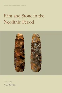 Flint and Stone in the Neolithic Period_cover