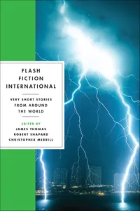 Flash Fiction International_cover