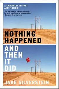 Nothing Happened and Then It Did_cover