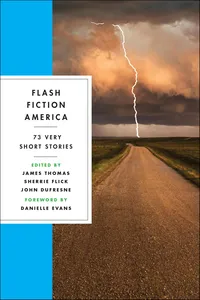 Flash Fiction America_cover
