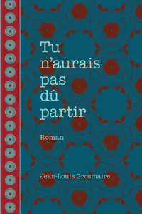 Tu n'aurais pas dû partir_cover