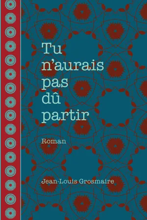 Tu n'aurais pas dû partir