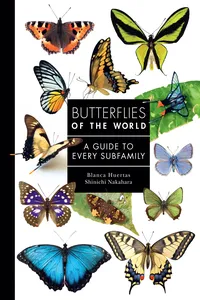 Butterflies of the World