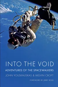 Into the Void_cover