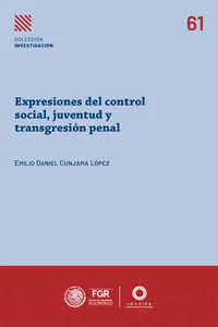Expresiones del control social, juventud y transgresión penal_cover