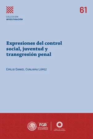 Expresiones del control social, juventud y transgresión penal