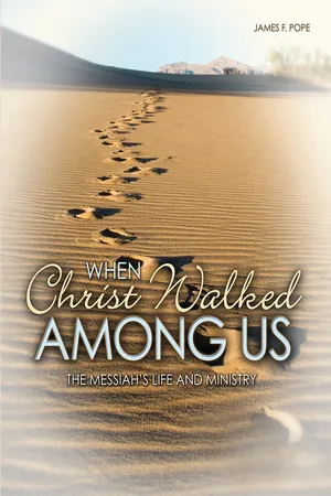 When Christ Walked Among Us