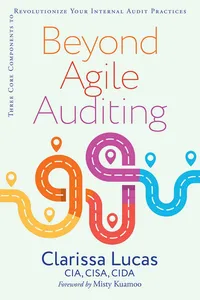 Beyond Agile Auditing_cover