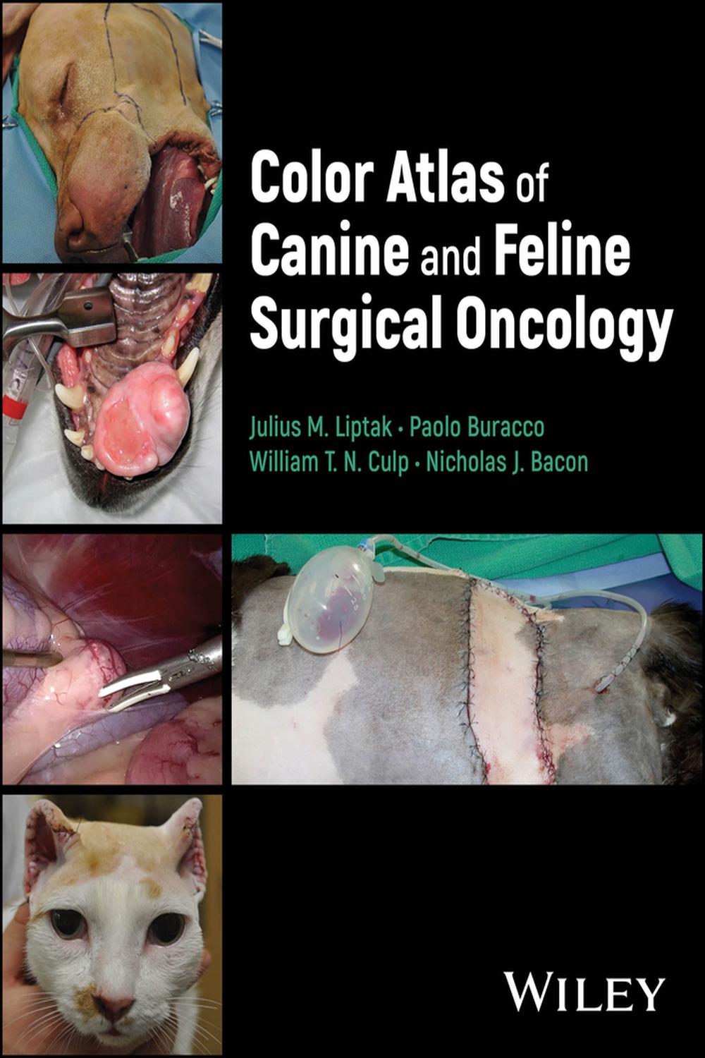 PDF] Color Atlas of Canine and Feline Surgical Oncology by Julius