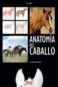 Anatomía del caballo: Guía práctica ilustrada_cover