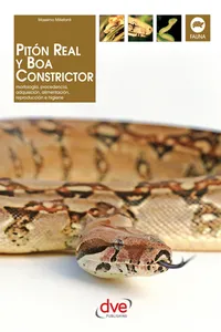 Pitón real y boa constrictor_cover
