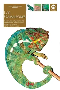 Los camaleones_cover