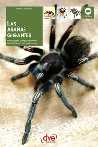 Las arañas gigantes_cover