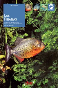 Las pirañas: Anatomía, alimentación, reproducción, enfermedades, cría en acuario_cover