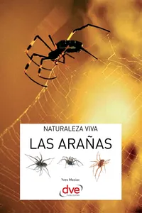 Las arañas_cover