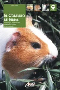 El Conejillo de Indias. Morfología, alimentación, reproducción, prevención y tratamiento de las enfermedades_cover