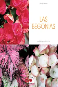 Las begonias_cover