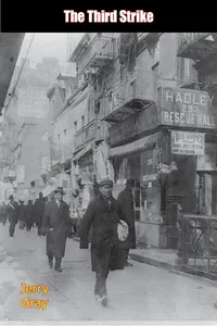 The Third Strike_cover