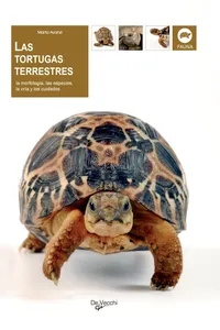 Las tortugas terrestres_cover