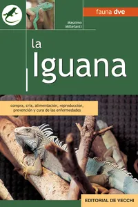 La iguana_cover