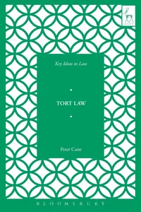 Key Ideas in Tort Law_cover