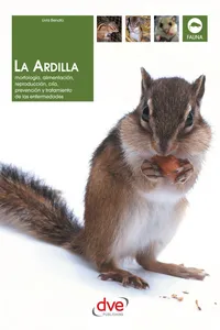 La ardilla_cover
