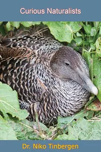 Curious Naturalists_cover
